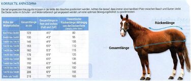 Зимова попона для коня Equi-Theme Highneck 50г, TYREX 1200D, темно-синя/бордова