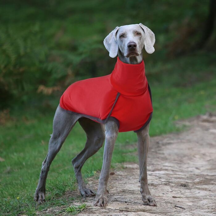 Теплий зимовий пуловер для собак Rozkitch з отвором для повідка, великий розмір, світлий, для прогулянок, подорожей та сну