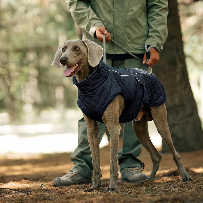Зимовий теплий одяг для собак - Вітростійка жилетка-світловідбивач для собак, теплий зимовий одяг для собак | Для активного відпочинку: походи, пікніки, кемпінг, катання на лижах, прогулянки містом (Темно-синій)