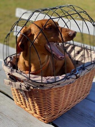 Ретро кошик для велосипеда з кришкою, плетіння з лози, переноска для тварин з підкладкою з тканини