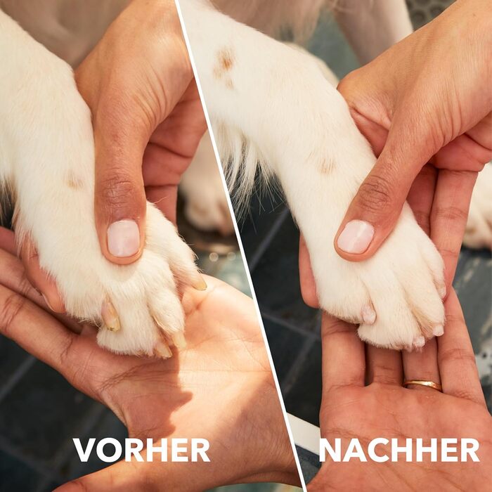 Dremel 7350: Шліфувальник для кігтів домашніх тварин (собаки, коти) з акумулятором 3.6V, USB-кабель, 2 насадки