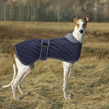 Водонепроникний зимовий одяг для породистих собак (Вінтерхаунд, Віпет, Лурчер), тепла куртка з флісовою підкладкою, для великих та середніх порід, темно-синій, розмір S (обхват спини 51-53 см)