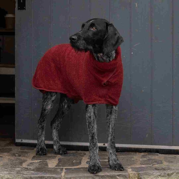 Руф та Тамбе Сухий корм для собак - Касичний Коекшн (Шипшина, Маленький)