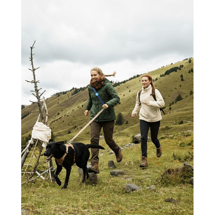 EVERKING 6-в-1 повідок для собак з живітним ременем – повідь для бігу та прогулянок, з двома ручками, антишокова пружина, кріплення для авто, альтернатива шлейці (Блакитний, Сірий, Блакитний, Хакі)