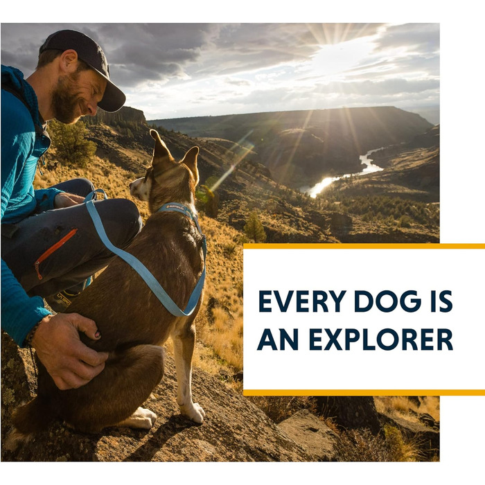 Нашийник для собак RUFFWEAR Hi & Light, ультралегкий і міцний, Tubelok-стрічка, алюмінієве кільце, Sage Green, розмір S (28-36 см)