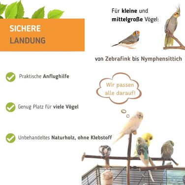 Vogelgaleria® Антена для клітки, іграшка-сидіння для птахів із натурального дерева