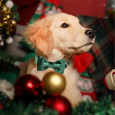 Елегантний ошийник для собак Aring з бантиком, м'який велюровий ошийник, регульований, темно-зелений, для дівчаток та хлопчиків