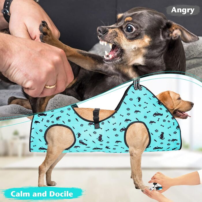 Гамак для грумінгу собак ATESON - гамачок для догляду за шерстю, підходить для стрижки нігтів (XXL до 54,4 кг), зручний для собак великих порід, блакитний