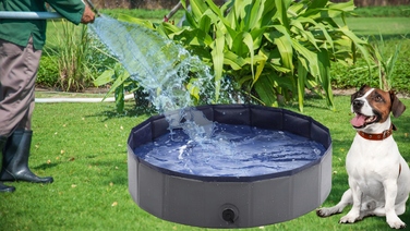 Складаний басейн для собак Wobell, сірий, 100x30 см, 230 л