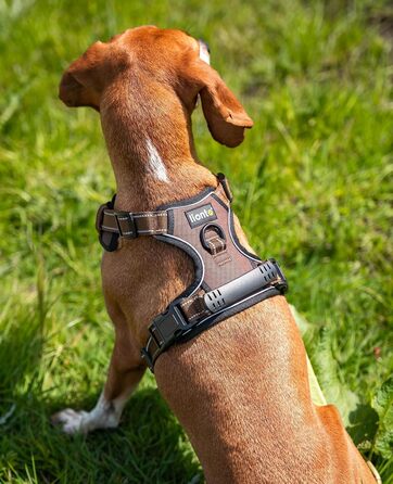 Шлейка для собак Ionto з відбиваючим матеріалом, м'яка, розмір M, коричнева, з двома кільцями та 4 ременями, з фіксаторами та гумовим ручним захопленням