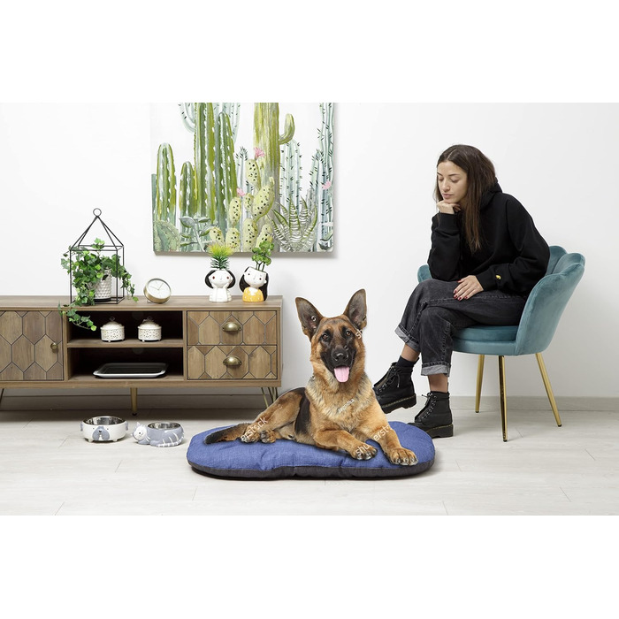 Килимок для собак та котів Baroni Hoe, 47x70x8 см - Doubleface (Сірий та блакитний, XL)