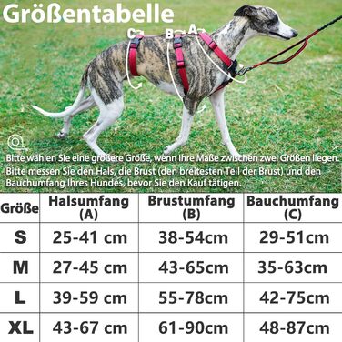 Пауерлд Безпечне обплетення для собак, шлейка від потягування, шлейка від паніки, анти-зламна шлейка для собак, регульована, дихаюча жилетка для маленьких, середніх та великих собак (XL) Екстра Великий (Упаковка з 1), Рожевий