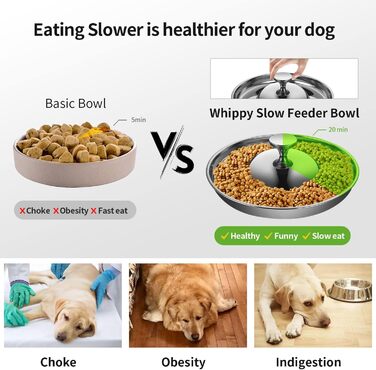 Набір з 2 мисок для цуценят та собак з нержавіючої сталі. Миски для корму та води, повільне годування, відлучення, для маленьких собак та котів