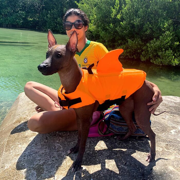 Костюм для плавання собак Chwimmwete Hai Hunde, яскравий, як акула (Оранжевий, XL)