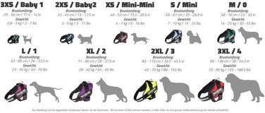 Шлейка Julius K-9 IDC Powergeschirre Anthrazitgrau з індивідуальним написом, для собак маленьких, середніх та великих порід, 16IDC+CUSTOMP-ANT