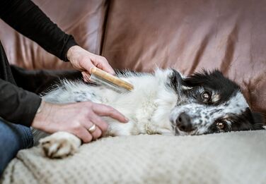 Щітка для грумінгу собак та котів Mikki Bambus Kinge - видаляє лупу та підшерстя, з антикорозійних сталевих зубів, велика (мала)
