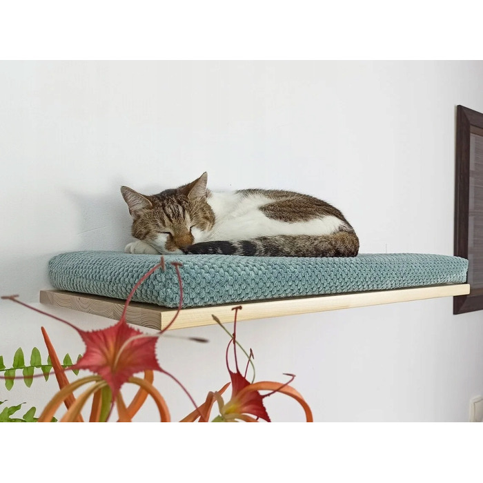 Настінна полиця для котів Cat's Atelier Cozy Nook, 60x37x6 см, натуральна
