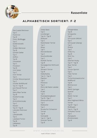 Щітка для котів та собак Striegel, аксесуари для собак, видалення шерсті | Зроблено в Німеччині (Тип C)