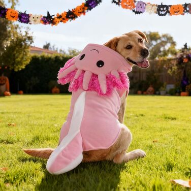 Костюм для собак Axolotl від FLAdorepet, карнавальний костюм рибки-саламандри, одяг для собак середніх та великих порід, зимовий костюм, капюшонний халат, піжама, кумедний одяг для догів, лабрадорів, бульдогів, розмір 6XL (Обхват грудей 84 см, Вага 23-27 