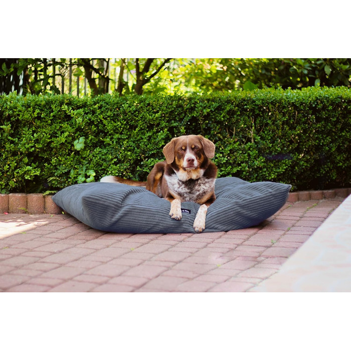 4L Textil ZOE: М'яке ліжко для собак з плюшу, 80x60 см, сірий (смужки), з блискавкою, для великих собак, зручне, миється