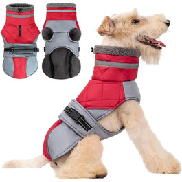 колір: гниль