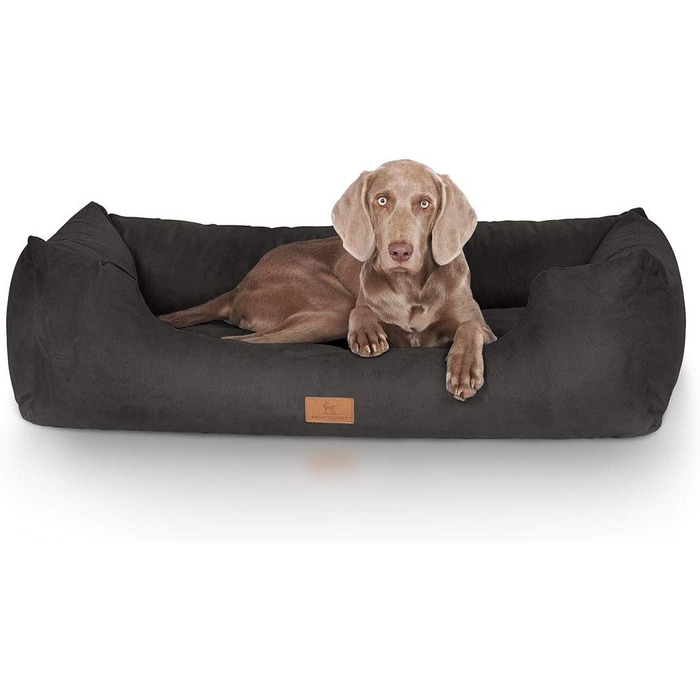 Кенгуру Кенгуру Hundebett Dreamline з велюру XXL 120 x 85 см Чорний - знімний чохол - легко мити - для великих, середніх та маленьких собак Чорний L 120 x W 85 x H 25 см