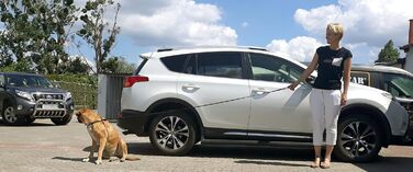 Dingo 10783 виставковий повідець з м'якої шкіри, ручна робота, плетена ручка, чорний