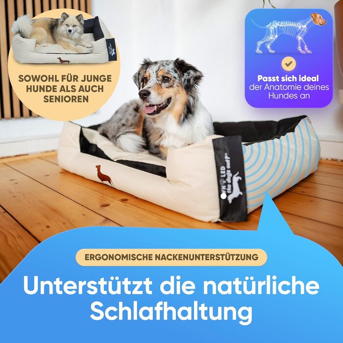 Ліжко для собак - міцне, для великих та маленьких собак, цуценят та літніх тварин. Зручне, м'яке, різних кольорів (M, пісочний)