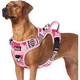 колір: тарноса