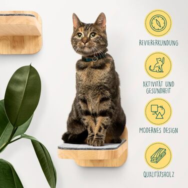 Котяча стінка HAPPYPET із трьох сходинок для монтажу на стіну, натуральне тверде дерево, дизайнерський комплекс для котів, сходи з фетровим покриттям, котяча драбина для активних котів, розмір L 22x24 см