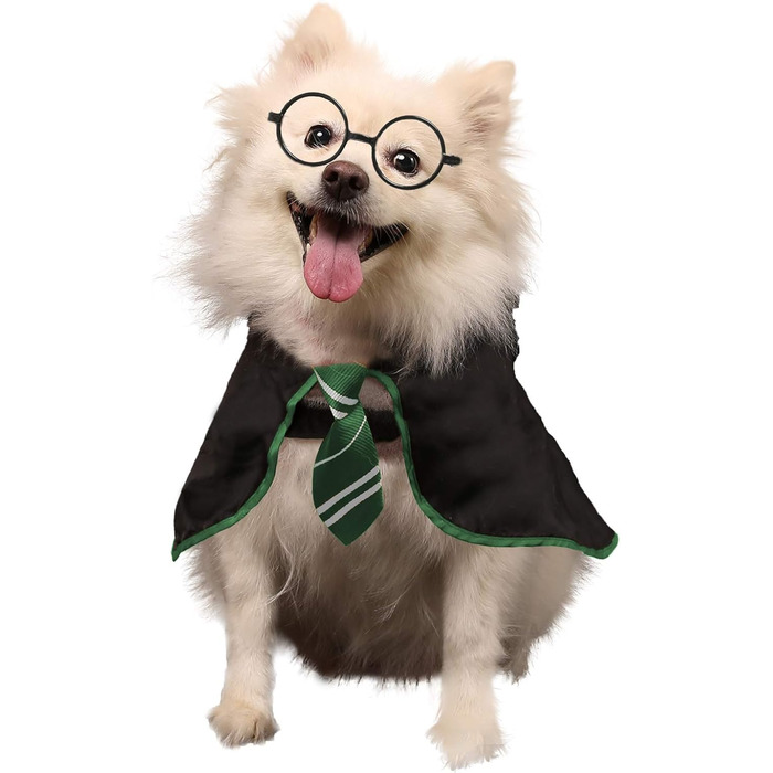 Костюм на Хелловін для собак Coomour, костюм чарівника, одяг для домашніх тварин з окулярами (середній, зелений)