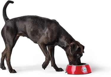 Набір для їжі та води Hunter FC Bayern München з меламіну, 350 мл, червоний