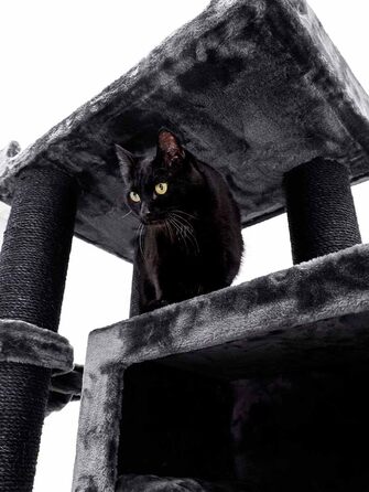 Дряпак для котів Petrebels Maine Coon, Estate, 170 см, XXL, чорний