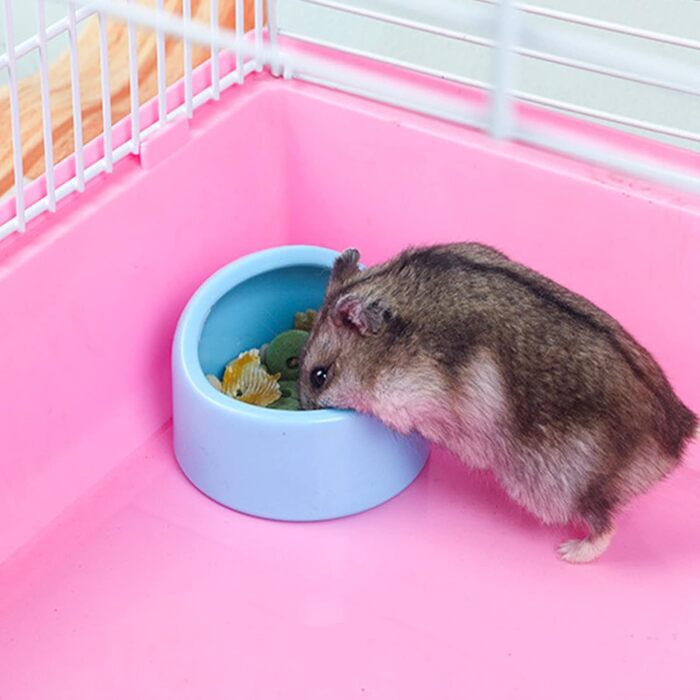 Набори мисок для тварин Yuemuop (3 шт.) з кераміки, антивандальні, для хом'яків, рептилій, черепах та інших домашніх тварин. Миски для їжі та води.