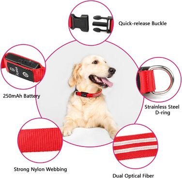 Світлодіодне нашийник для собак PCoTllar, зарядний, 3 режими світіння, регульований, водонепроникний, для малих, середніх та великих собак, блакитний, L (48-60 см)