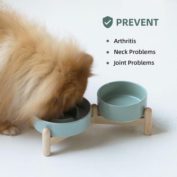 Підвищений годівниця для собак та котів Havniva з кераміки, для повільного годування, 13 см та 15,5 см, з дерев'яним підставкою, 2 шт. світло-зелений + підставка