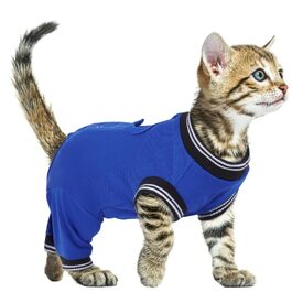 Післяопераційний комбінезон для котів Katze Nach Op, захист від вилизування, синій (S)
