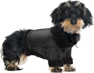 Зимовий теплий куртка для собак від TARSHYRY: шкіряна вітронепроникна модель для великих, середніх та маленьких собак. Стильний мотоциклетний одяг для тварин (S)