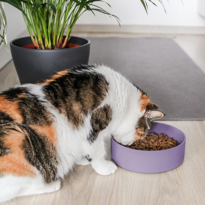 Миска для собак ne&no® Silikon 1200 мл з кришкою для маленьких та середніх собак | Безпечна для холодильника, не ковзає | Набір мисок для собак: миска та кришка (холодна фіолетова)