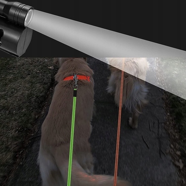 Регульований подвійний рулетка-повідець для собак 3M з LED-підсвіткою