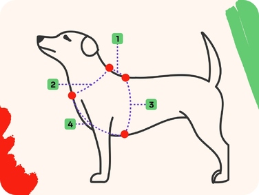 Шлейка Guard Comfort Neon Bone | 4Funky | Регульована, для малих собак (розмір S)