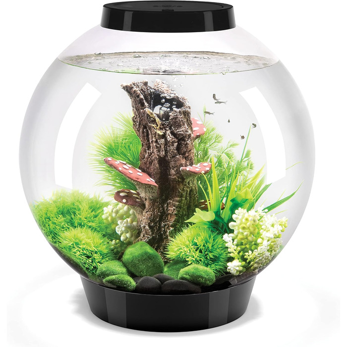 Акваріум biOrb CLASSIC 30 LED чорний, набір з фільтром, LED-підсвіткою та керамічним ґрунтом із міцного акрилового скла, декоративний комплект
