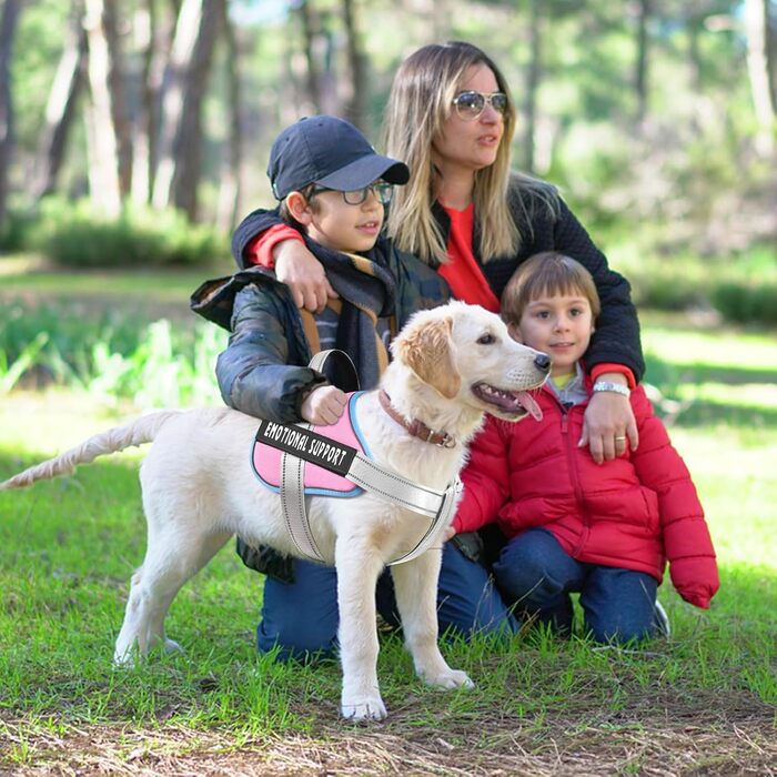 Пояс для собак Voopet для емоційної підтримки, професійний сервіс, жилет-пояс для собак маленьких, середніх та великих порід, світловідбиваючий, дихаючий та регульований, запобігає тягненню/нудоті, ESA (X-Small (Упаковка з 1), Синій_Рожевий)