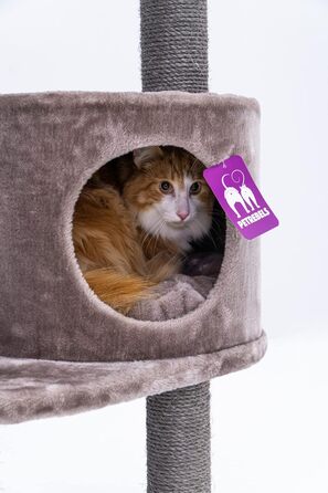 Котячий дерев'яний комплекс Petrebels Charlotte 134 см, преміум-якість, з гамаком, лежаком та будиночком, колір капучино