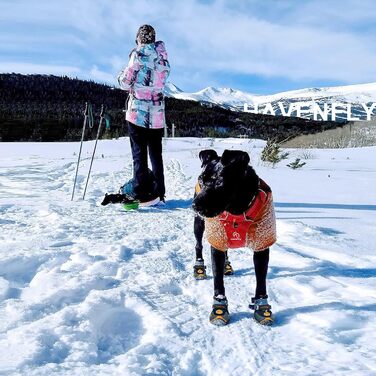 Водонепроникні чоботи для собак 4 шт. з регульованими ремінцями та світловідбиваючими елементами (B, 2)