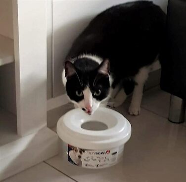 Миска для собак Tilty Bowl розмір M (рожева)