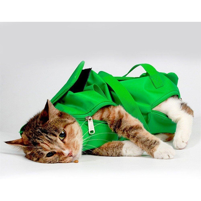 Транслючена сумка-переноска для собак та котів, зелена. Дихаюча, анти-царапин, захист від укусів. Для маленьких та середніх порід.