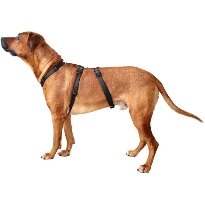 Посуд Wolters Professional No Escape, 30-40 см, графітовий колір