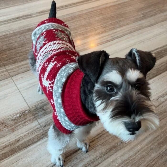 Теплий в'язаний пуловер для собак та котів, стильний каре, рожевий олень, XXL