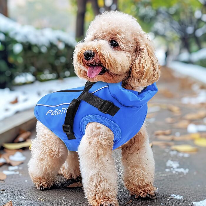 Водонепроникна куртка для собак PceOllar, тепла та вітронепроникна, з світловідбиваючими елементами, для маленьких собак та цуценят, блакитна